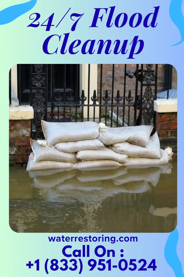 24/7 Flood Cleanup in Montour Falls, NY