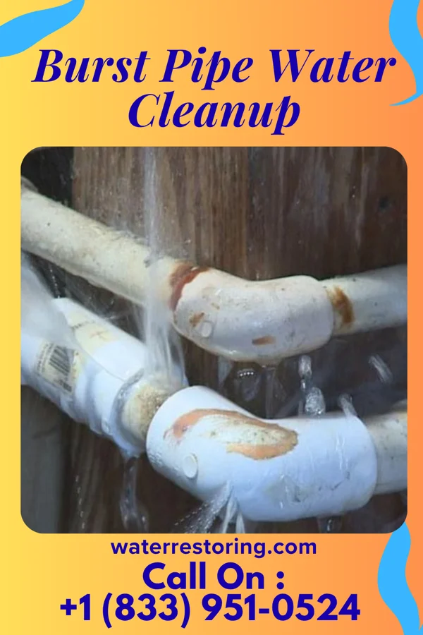 Burst Pipe Water Cleanup in Montour Falls, NY