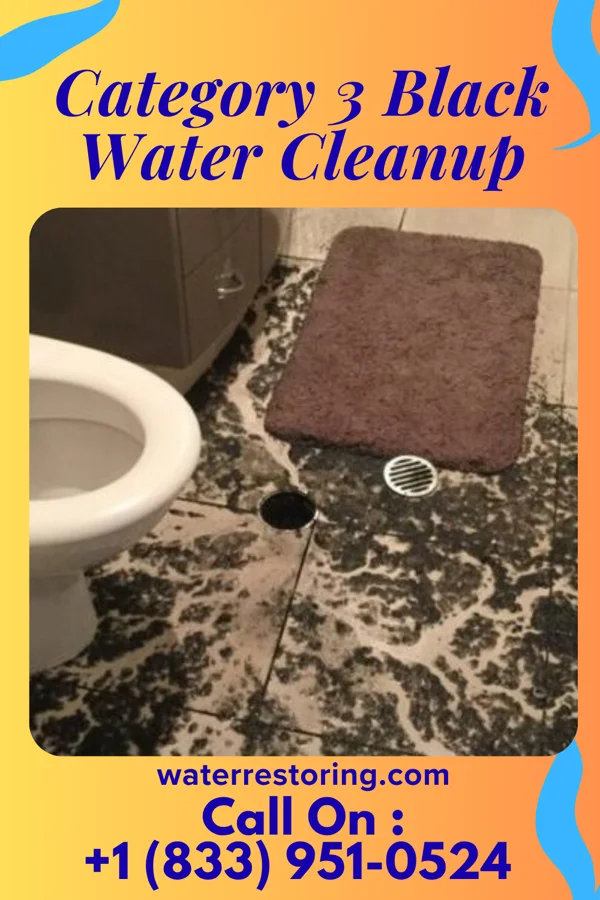 Category 3 Black Water Cleanup in Montour Falls, NY