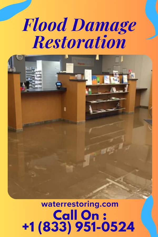 Flood Damage Restoration in Montour Falls, NY
