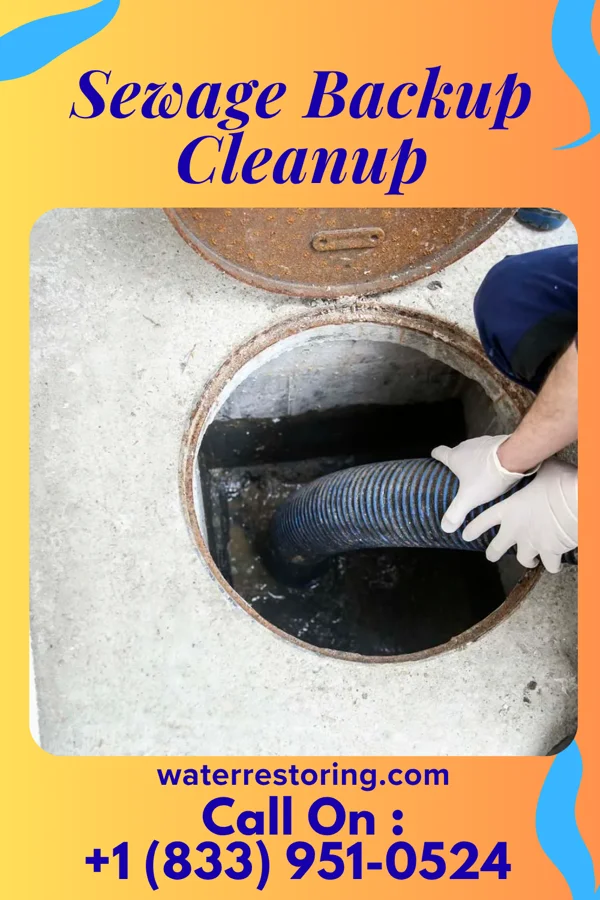 Sewage Backup Cleanup in Montour Falls, NY