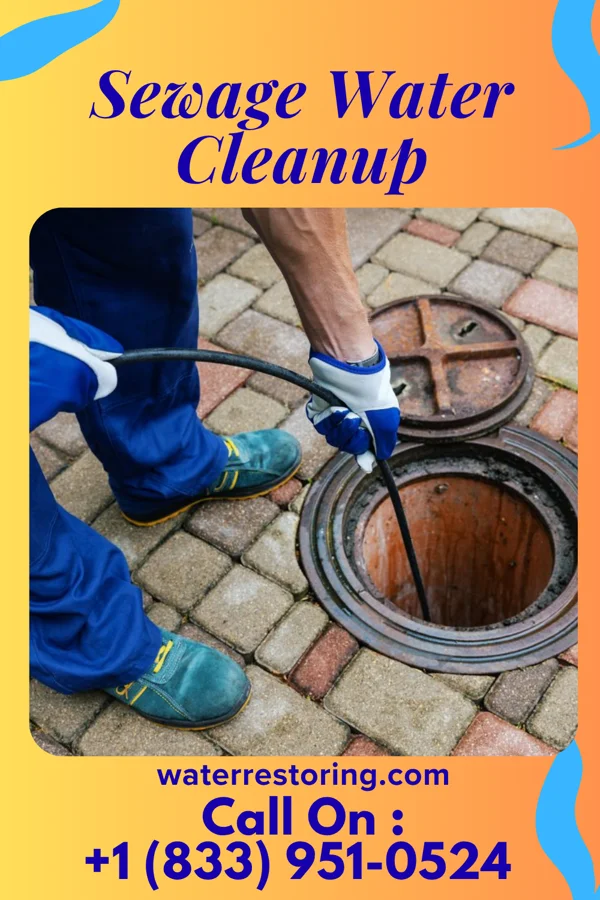 Sewage Water Cleanup in Montour Falls, NY