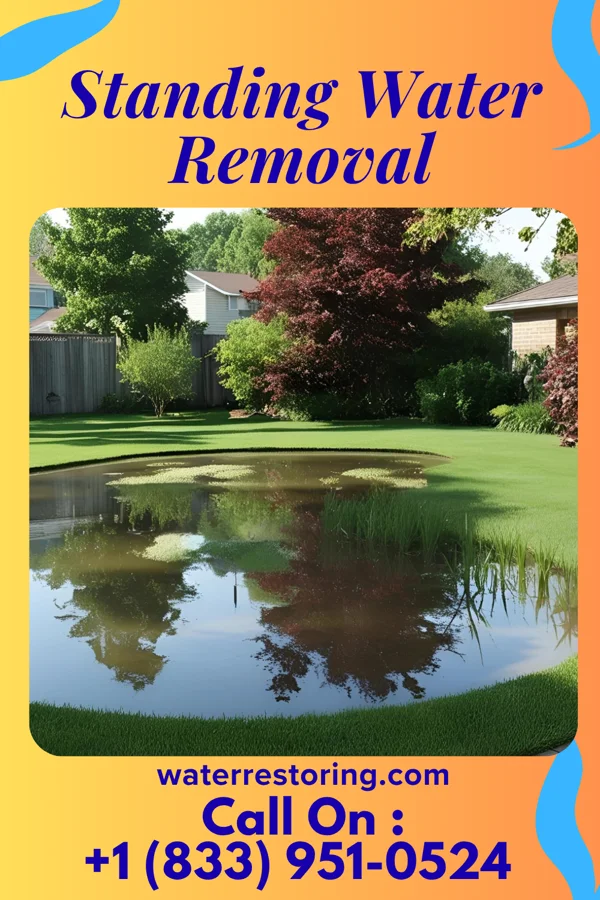 Standing Water Removal in Montour Falls, NY